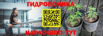 молекула духа Донецк