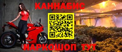 молекула духа Донецк