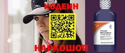 спиды Дубна