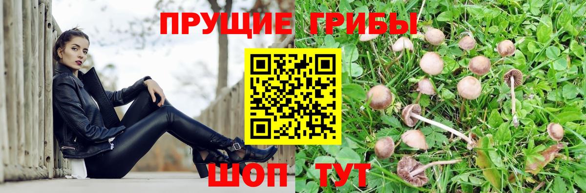 Псилоцибиновые грибы MAGIC MUSHROOMS Бирск