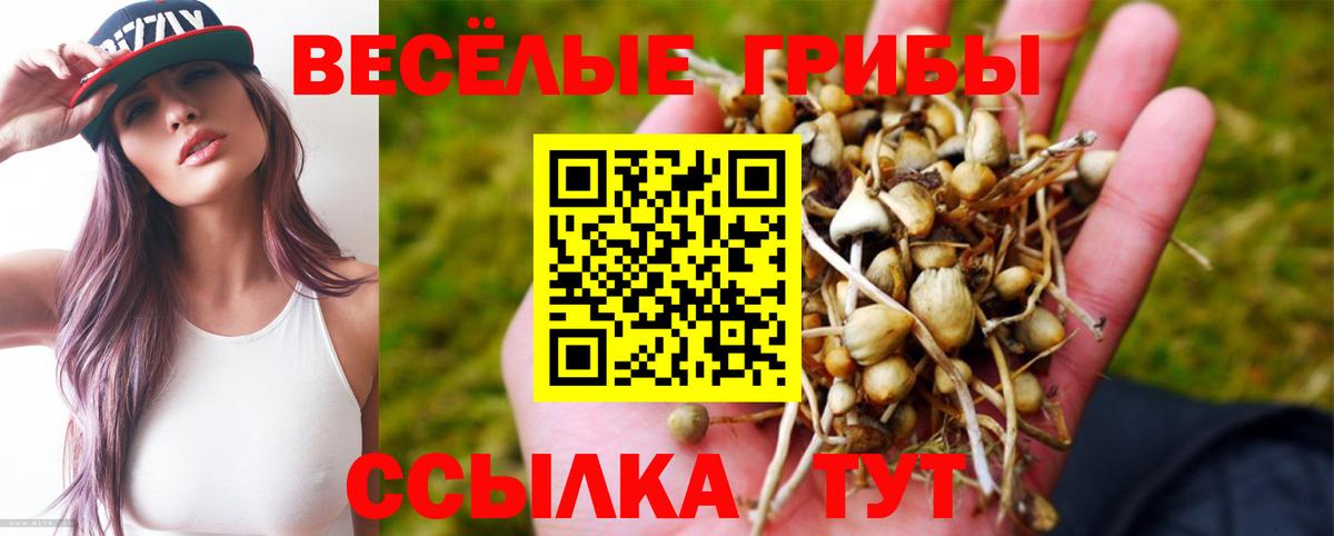 Галлюциногенные грибы MAGIC MUSHROOMS  Вход с VPN  Бирск 
